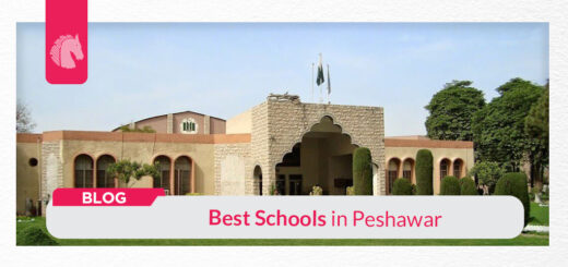 Best Schools in Peshawar - ahgroup-pk