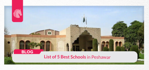 schools in peshawar - ahgroup-pk