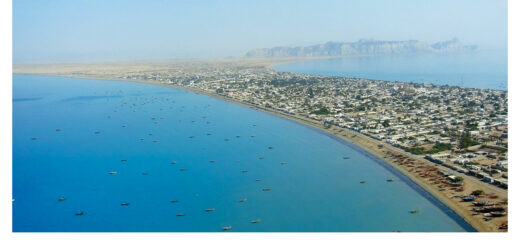 seven countries shows interest in Gwadar project