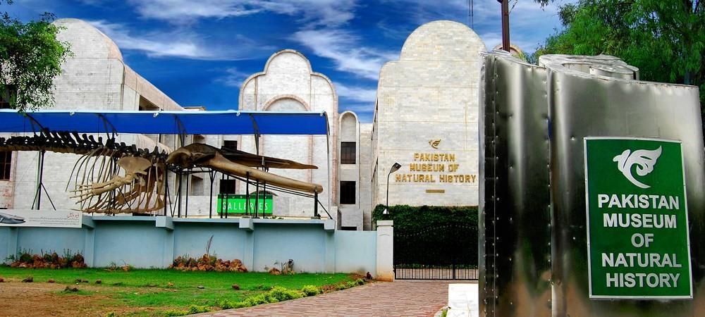pakistan museum of natural history - historical places in Islamabad - ahgroup-pk