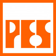 Pakistan Engineering Services (PES)