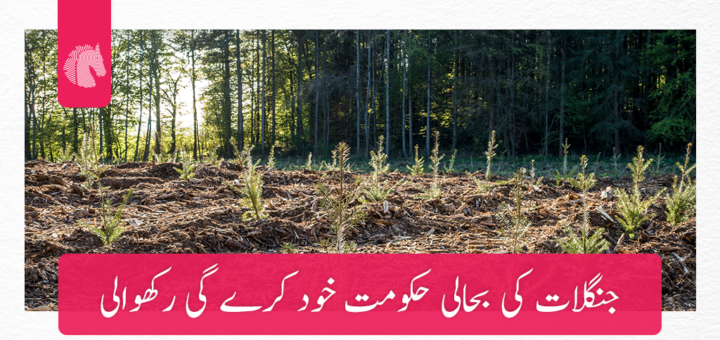 جنگلات کی بحالی حکومت خود کرے گی رکھوالی