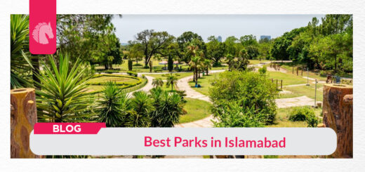 Best parks in islamabad - ahgroup-pk