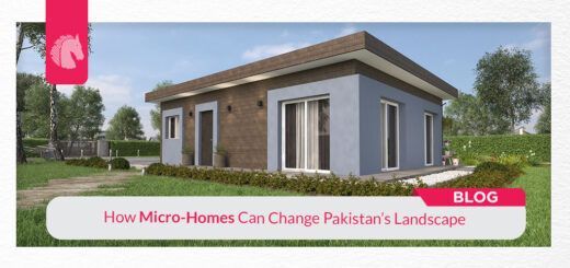 How Micro-Homes can change Pakistan’s Landscape