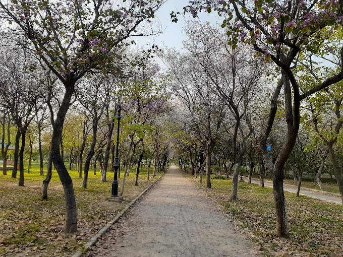 kachnar park - parks in islamabad - ahgroup-pk