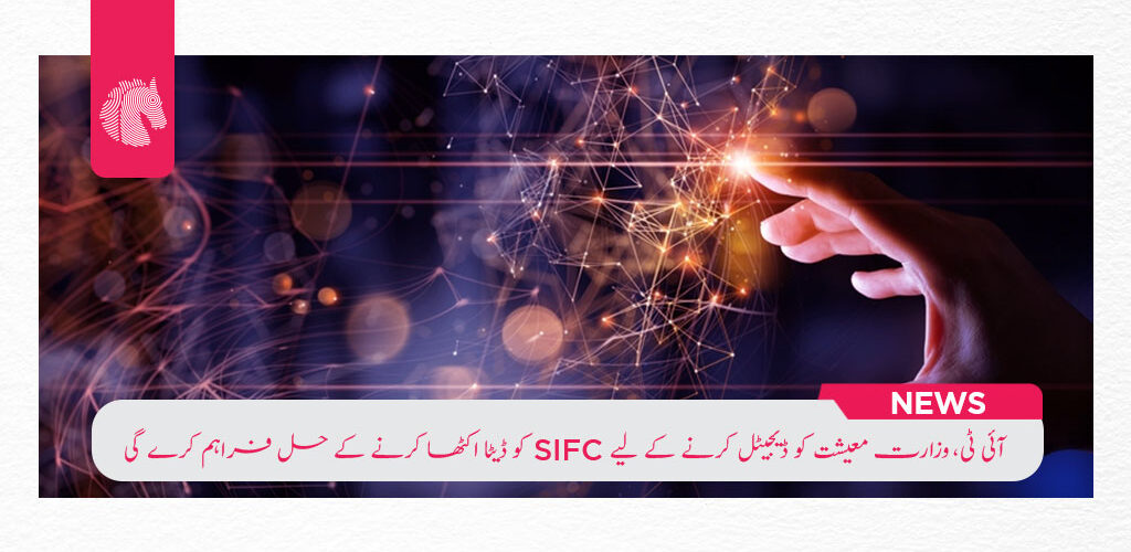 IT Ministry to Provide Data Collection Solutions to SIFC to Digitize Economy