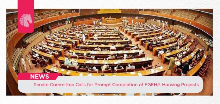 Senate Committee Calls for Prompt Completion of FGEHA Housing Projects - ahgroup-pk