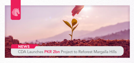 CDA Launches PKR 2bn Project to Reforest Margalla Hills - ahgroup-pk
