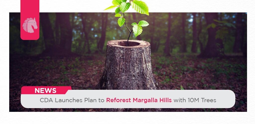 CDA Launches Plan to Reforest Margalla Hills with 10M Trees - ahgroup-pk