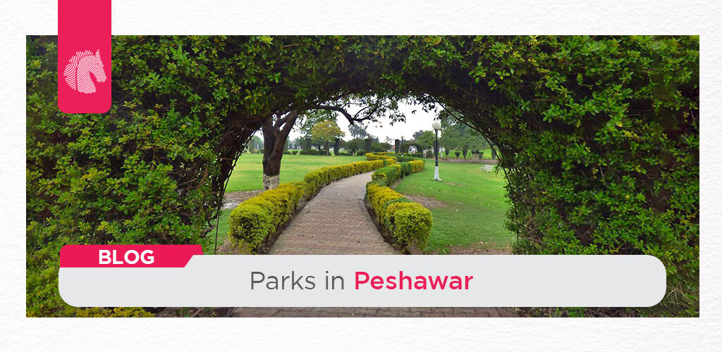 Parks in Peshawar - ahgroup-pk
