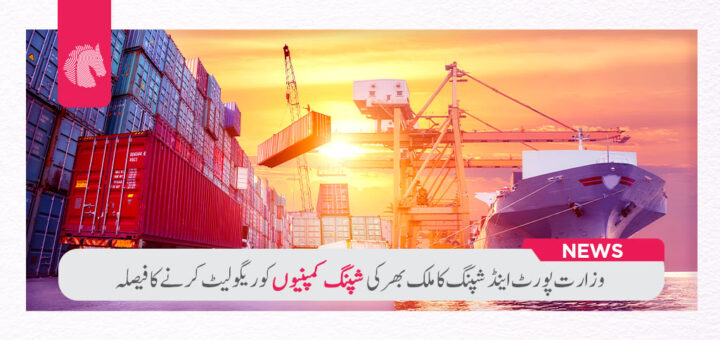 Port Ministry Regulates Shipping Companies Nationwide - ahgroup-pk