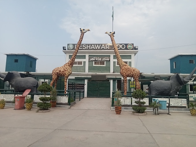 peshawar zoo - best parks in peshawar - ahgroup-pk