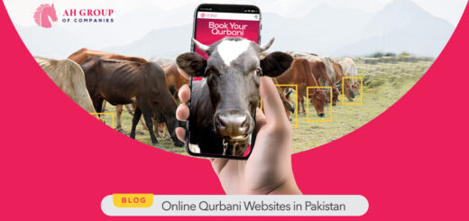 Online qurbani Websites in Pakistan - ahgroup-pk