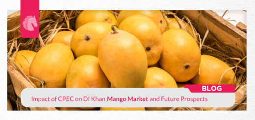 Impact of CPEC on DI Khan Mango Market and Future Prospects - ahgroup-pk