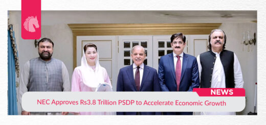 NEC Approves Rs 3.8 Trillion PSDP to Accelerate Economic Growth - ahgroup-pk